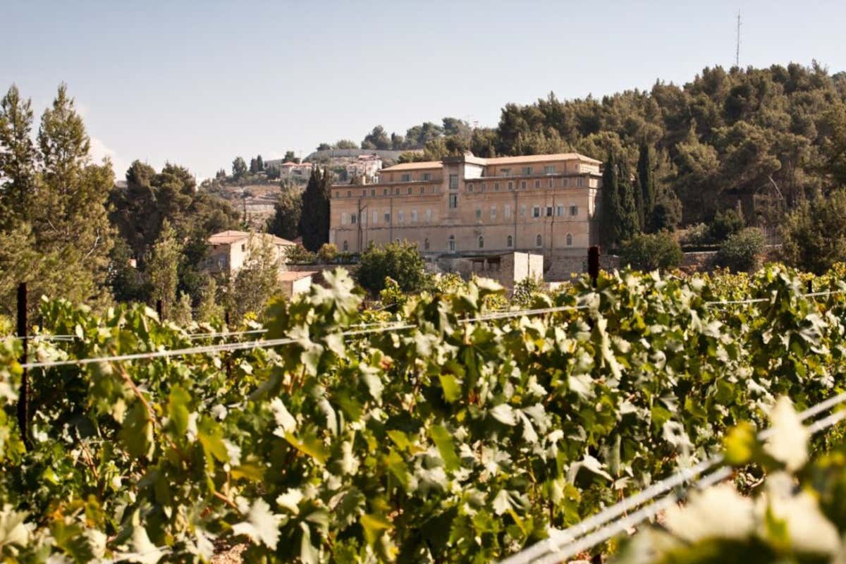 C'è un vino che nasce a Betlemme e oggi prova a costruire ponti tra le persone