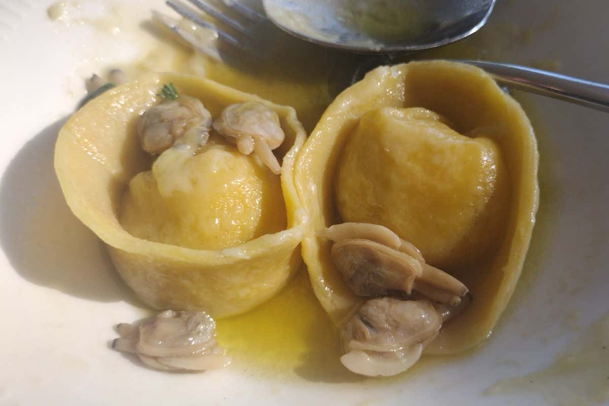 Tortelli ripieni di patate e provola con guazzetto di vongole