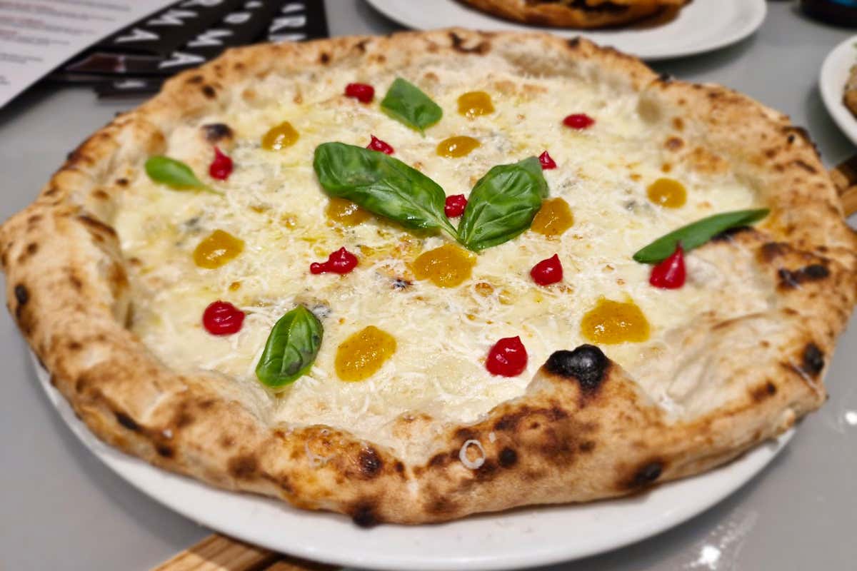 Tetralogia di bufala campana