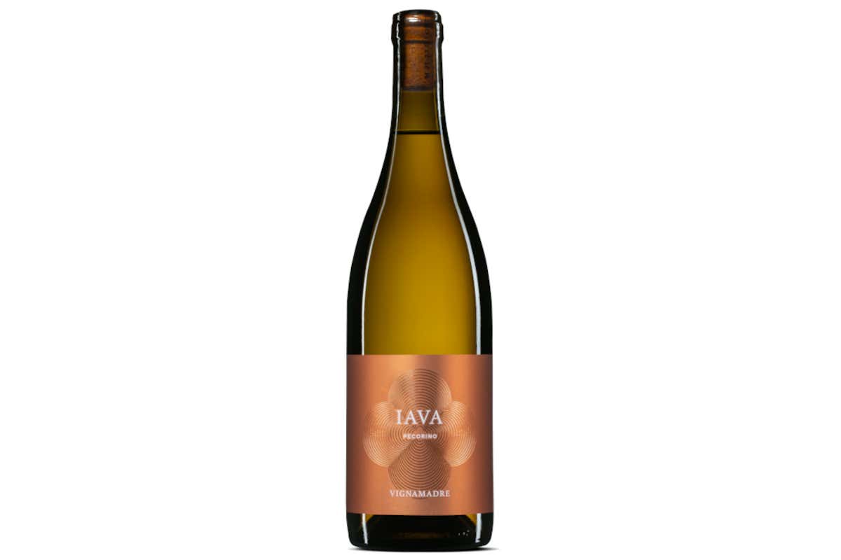 VignaMadre della Famiglia Di Carlo: grandi vini d’Abruzzo tra etica e biologico