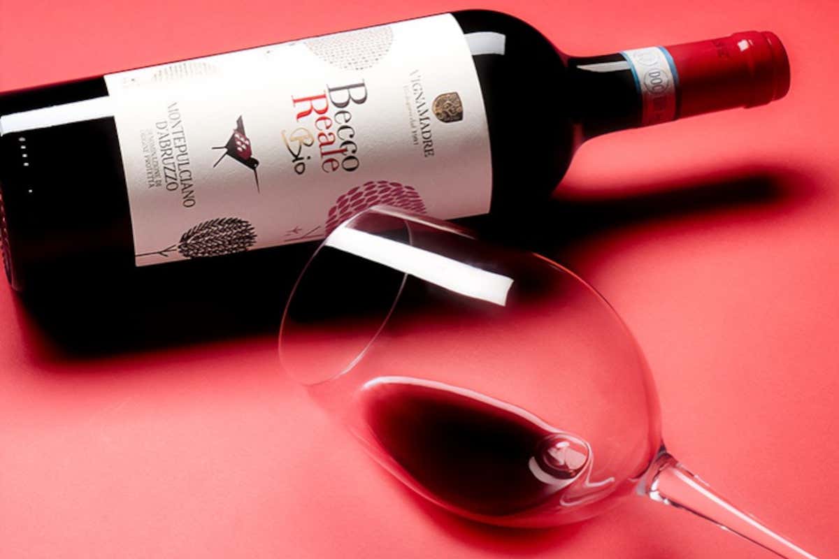 VignaMadre della Famiglia Di Carlo: grandi vini d’Abruzzo tra etica e biologico