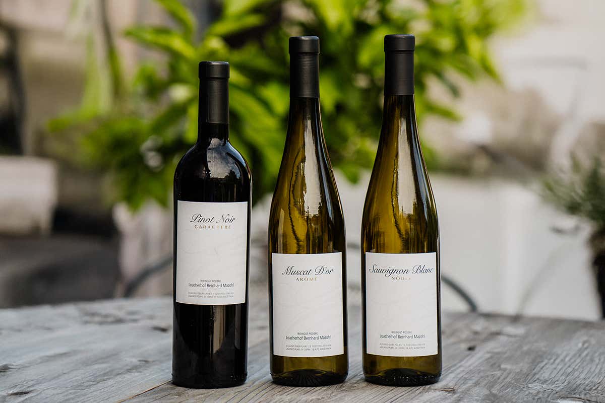 Vini Loacherhof, espressione autentica e di ottima qualità del terroir meranese