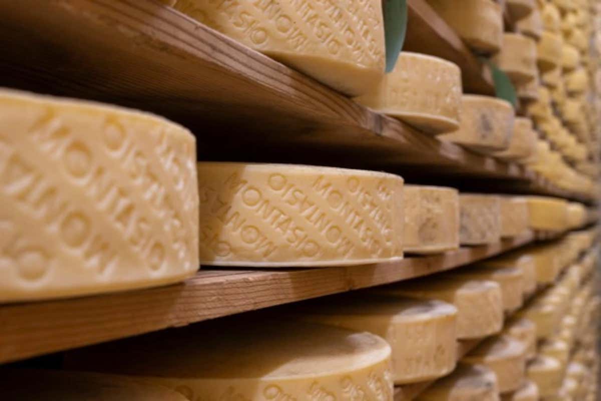 Come nasce il Montasio Dop: il racconto di un formaggio fatto di tempo e cura Come nasce il Montasio Dop: il racconto di un formaggio fatto di tempo e cura