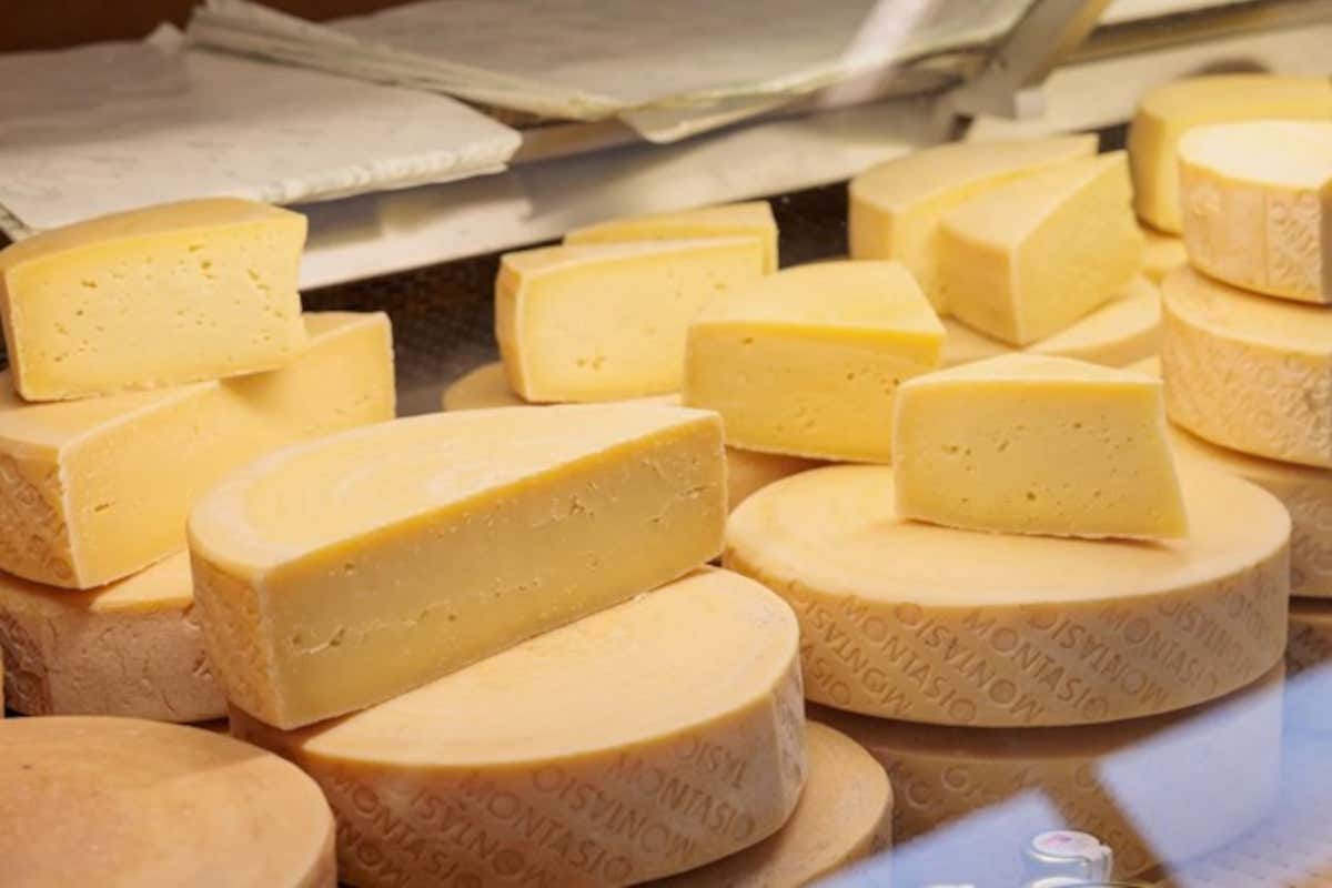 Come nasce il Montasio Dop: il racconto di un formaggio fatto di tempo e cura Come nasce il Montasio Dop: il racconto di un formaggio fatto di tempo e cura
