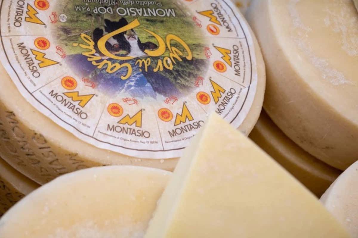 Come nasce il Montasio Dop: il racconto di un formaggio fatto di tempo e cura