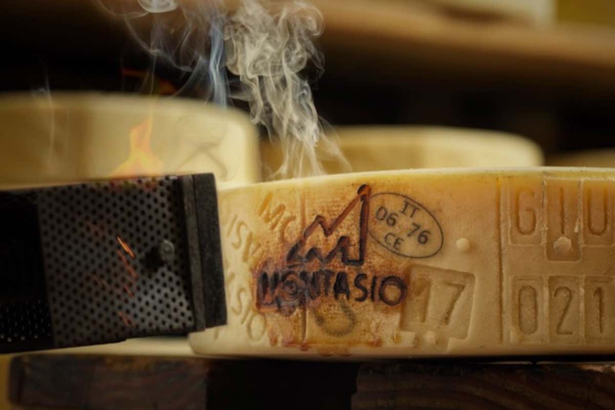 Come nasce il Montasio Dop: il racconto di un formaggio fatto di tempo e cura Come nasce il Montasio Dop: il racconto di un formaggio fatto di tempo e cura
