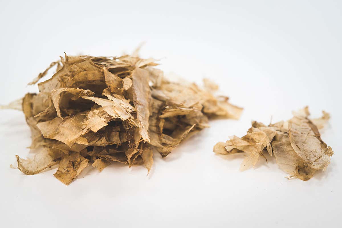 Katsuobushi Katsuobushi, un concentrato di gusto che esalta la cucina fusion