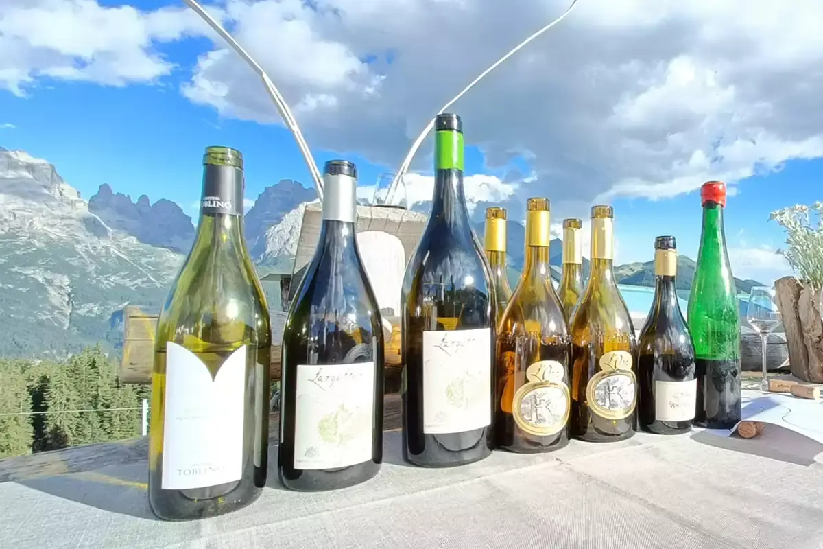 Degustazione in quota Cantina Toblino: l&rsquo;oro della Valle dei Laghi