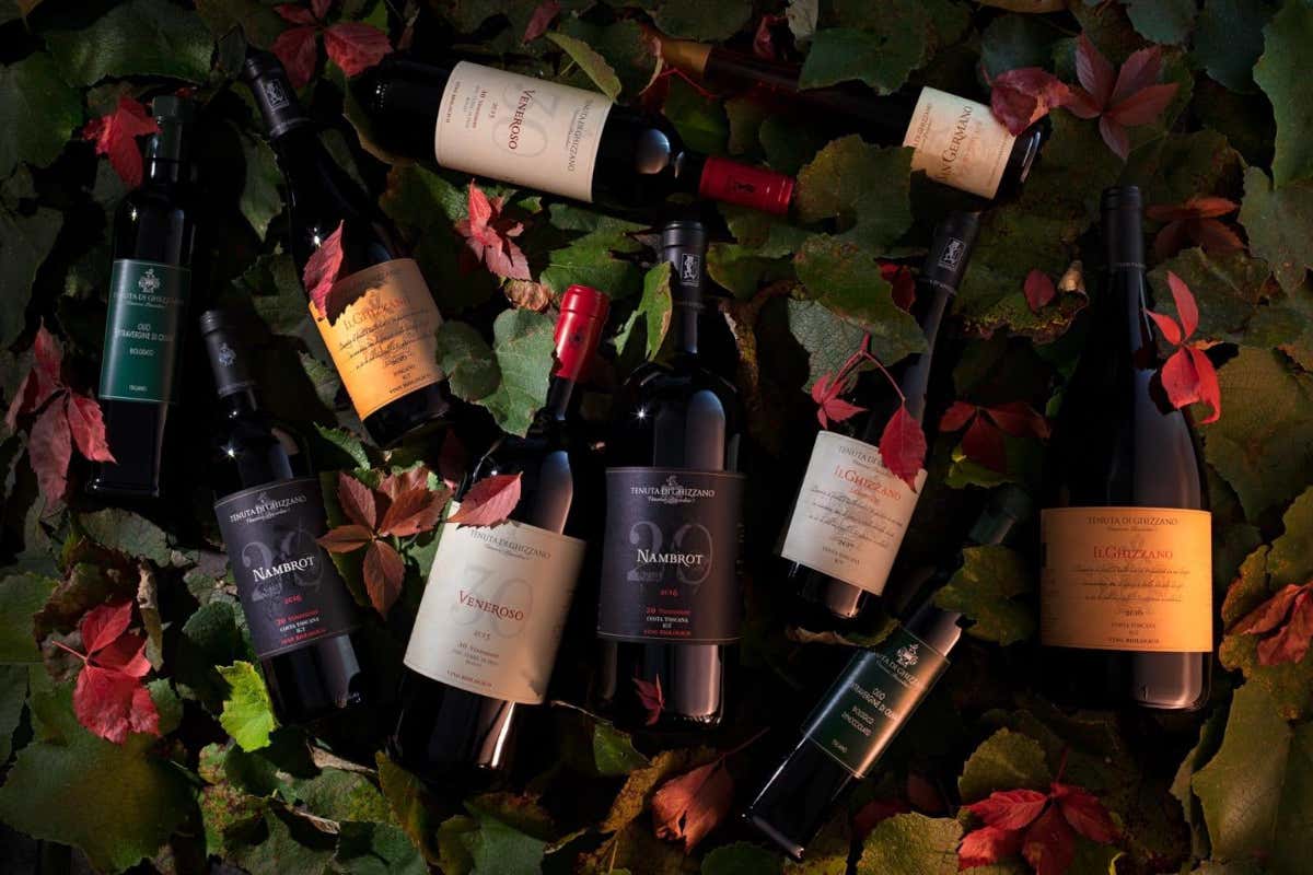 Tenuta di Ghizzano, eleganza e identità nei vini delle Terre di Pisa