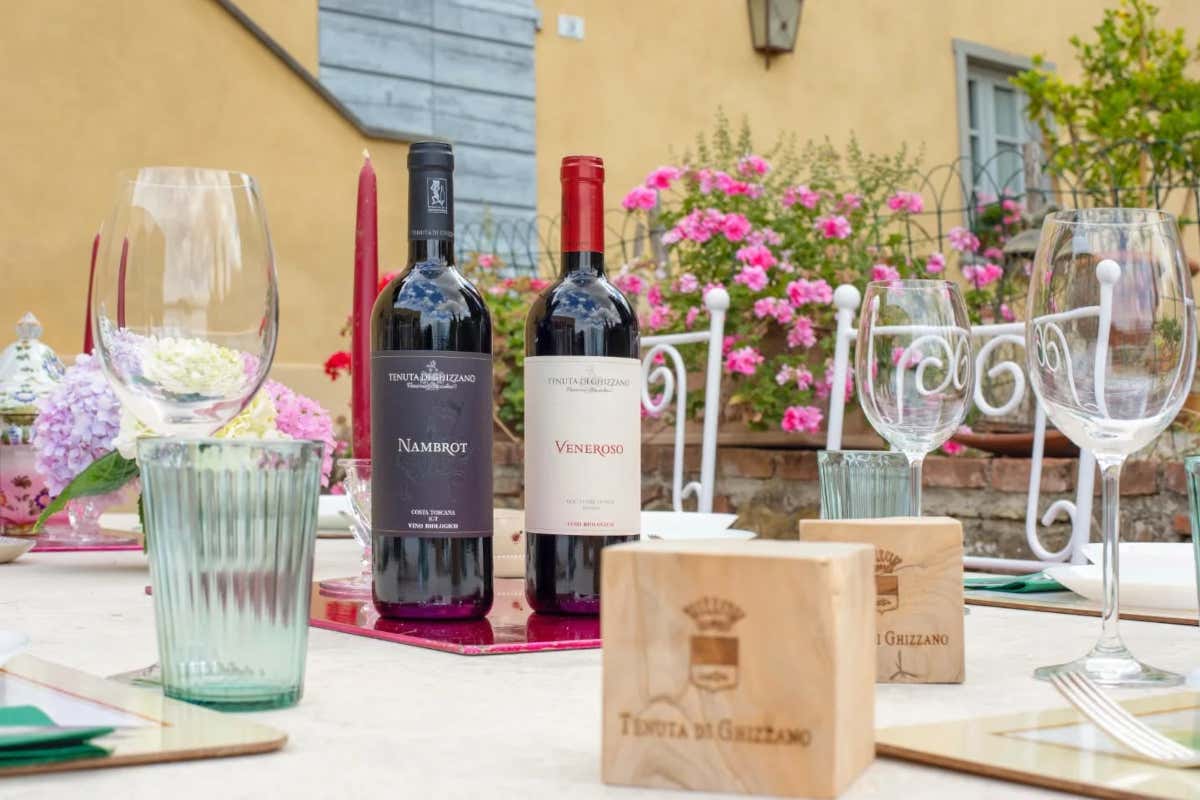 Tenuta di Ghizzano, eleganza e identità nei vini delle Terre di Pisa