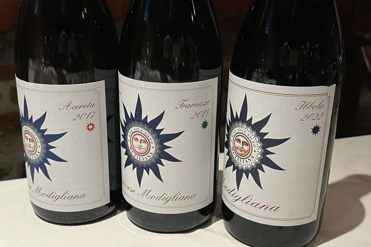 Mutiliana: tre Sangiovese di montagna che parlano la lingua delle valli