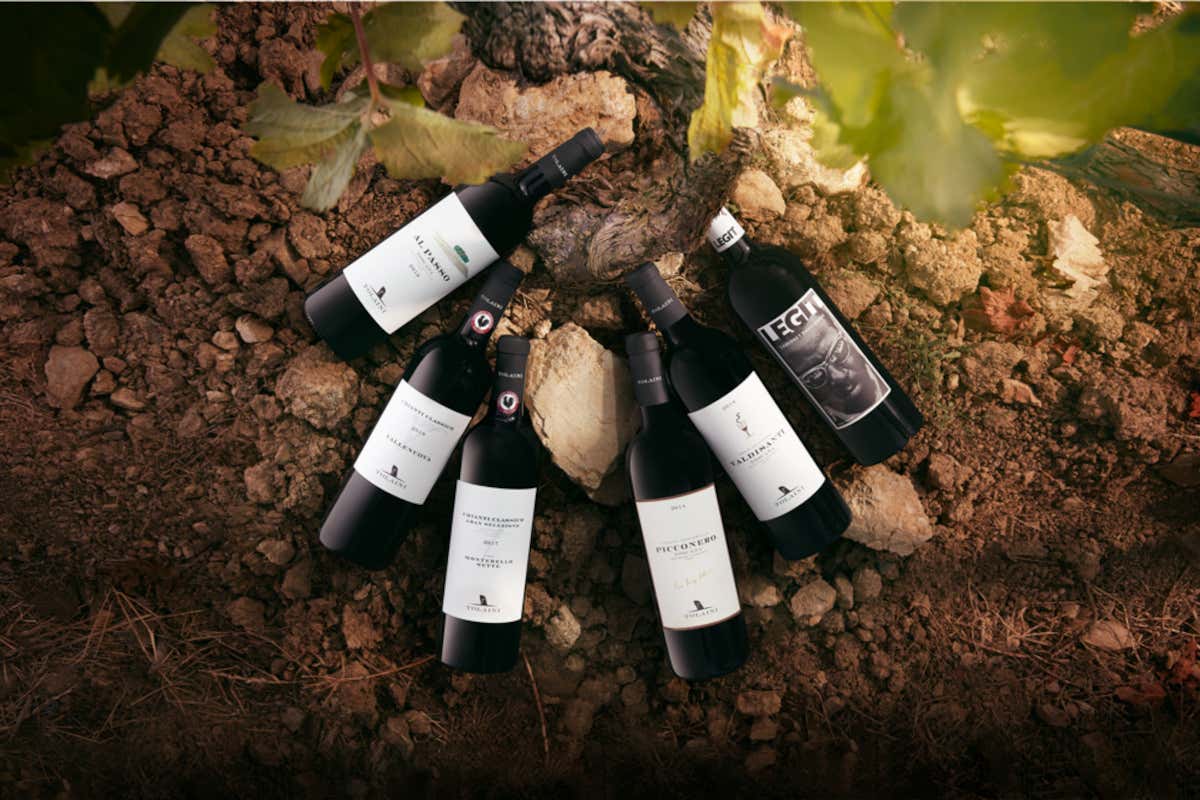 Cantina Tolaini, da Pier Luigi a Lia, il terroir prima di tutto