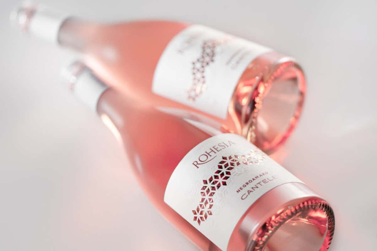 Dal vino sfuso al successo internazionale: il viaggio della famiglia Cantele