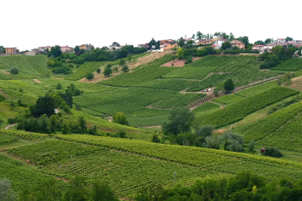 Le colline dell'Oltrep&ograve; 