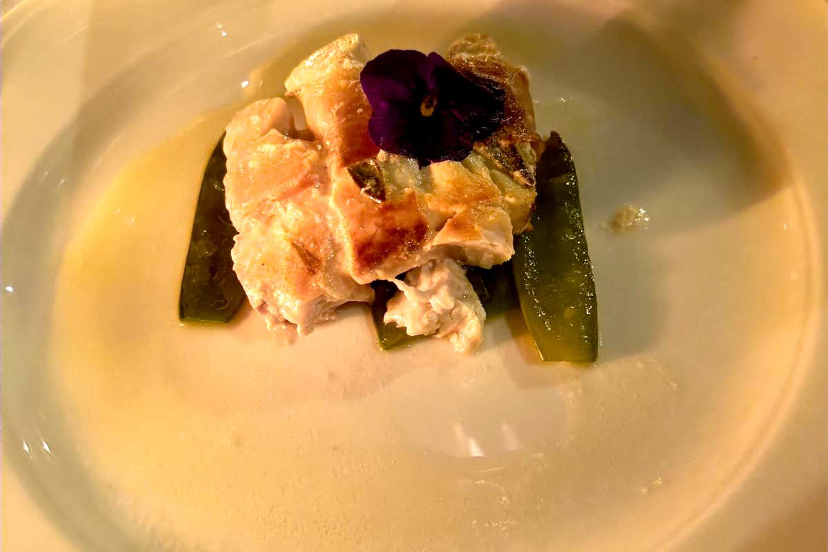 Saltimbocca di pescato bianco con speck D’Osvaldo e taccole all’olio e burro