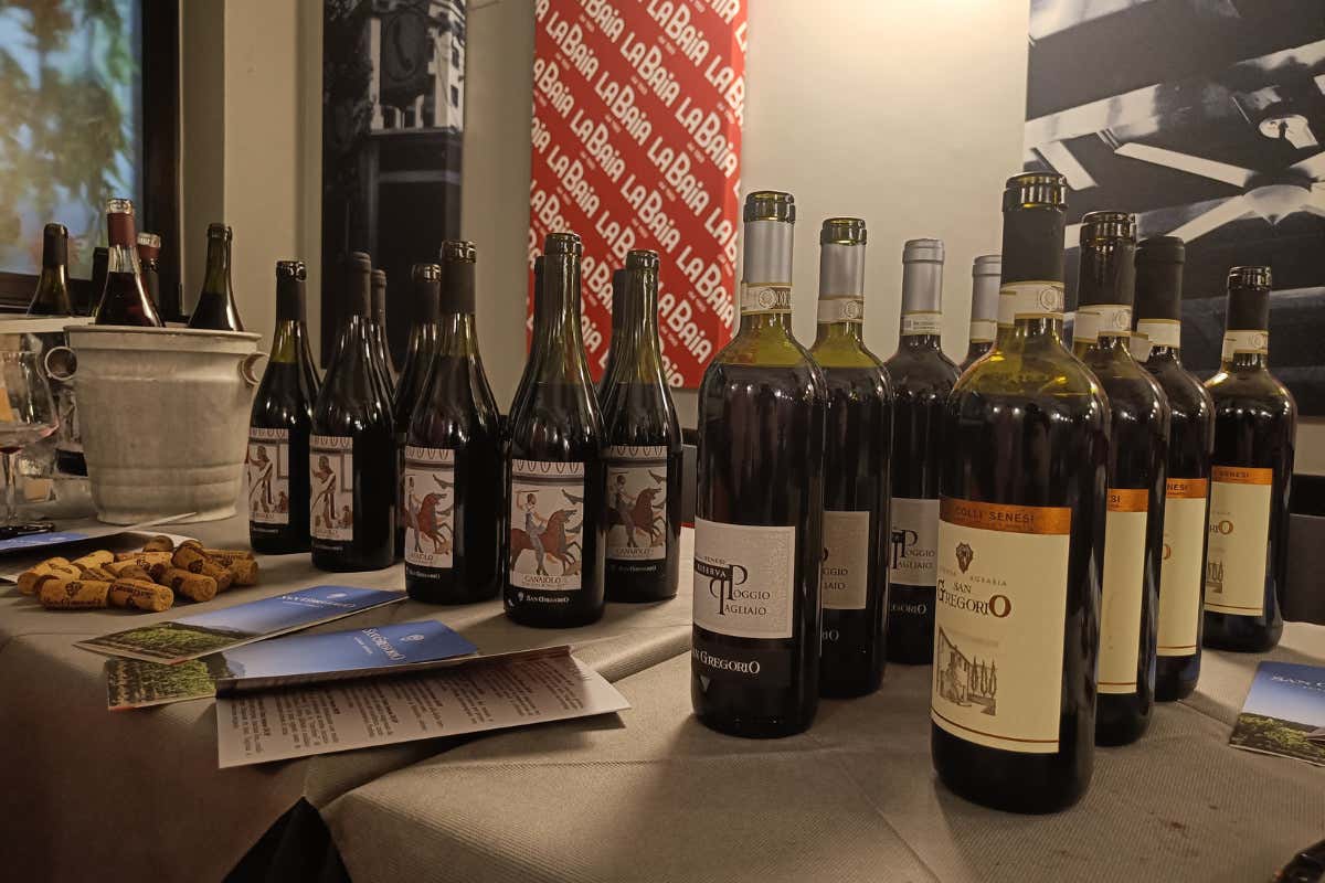 La cantina toscana che produce Chianti e alleva circa 700 Cinte Senesi