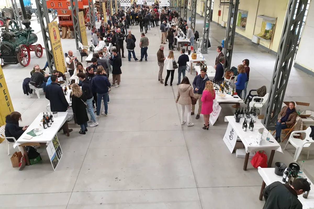 Torna Derthona Due.Zero: a Tortona le nuove annate di Timorasso
