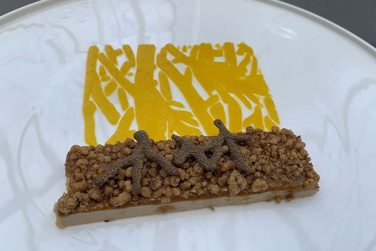 Champagne Maison Ruinart: un viaggio tra arte, sapori e sostenibilità 