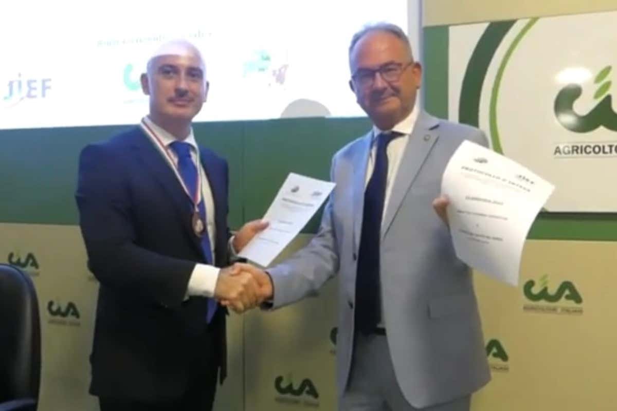 Daniele Di Santo: il primo ambasciatore del Tartufo italiano in Giappone