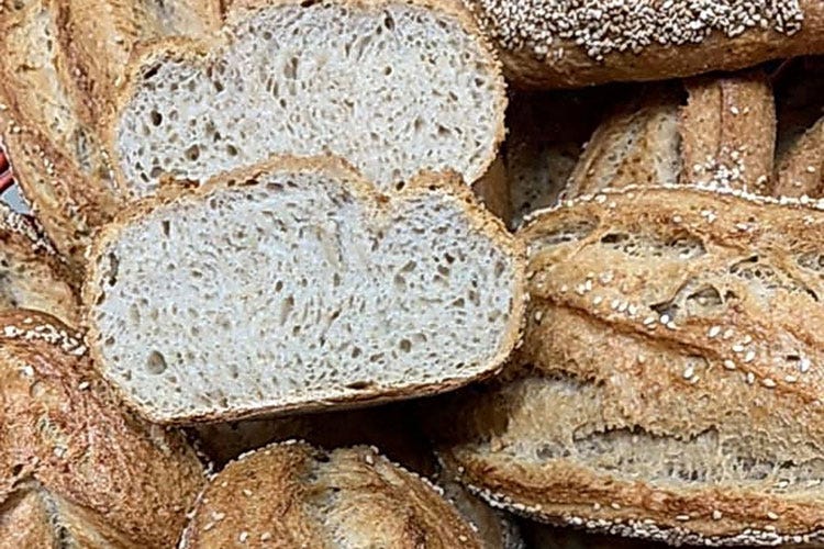 Pane siciliano (Diamo una mano al grano Rinasce la tradizione dei Nebrodi)
