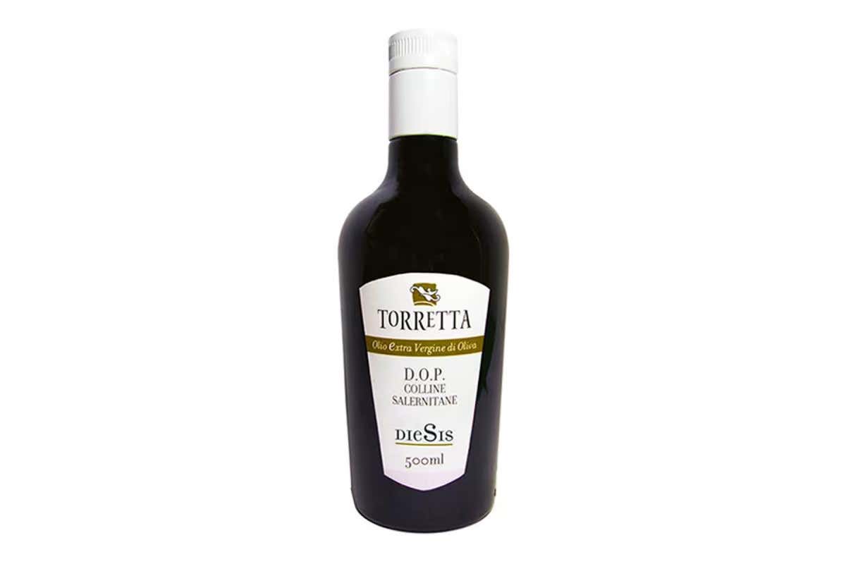 Campania, terra di grandi oli: viaggio tra cultivar, frantoi e nuove visioni