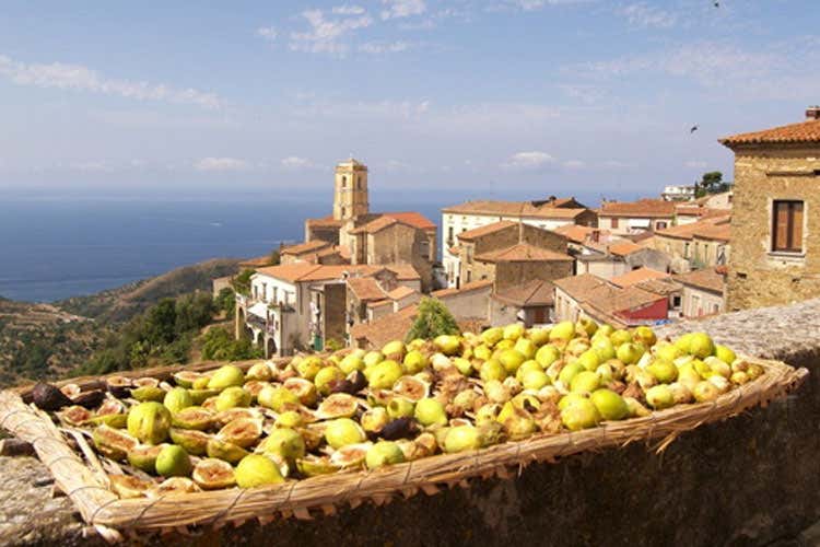 Una settimana d'incontri a Pollica sul futuro del cibo - Cibo e sostenibilità per il futuro Esperti a confronto a Pollica