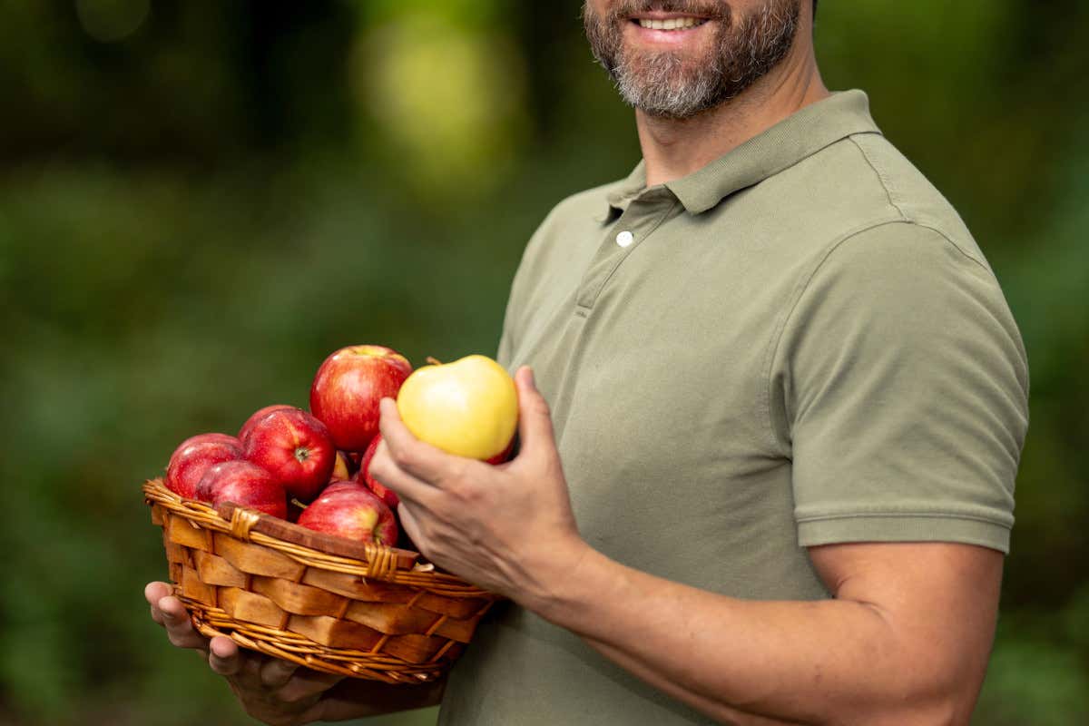 Ecco quanti anni di vita si guadagnano seguendo la Dieta mediterranea Ecco quanti anni di vita si guadagnano seguendo la Dieta mediterranea