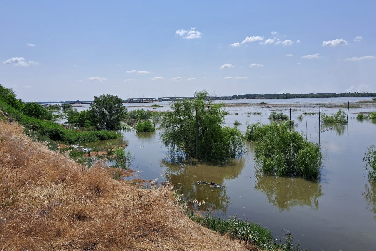 Crolla la diga di Kakhovka: a rischio i raccolti, schizza il prezzo del grano
