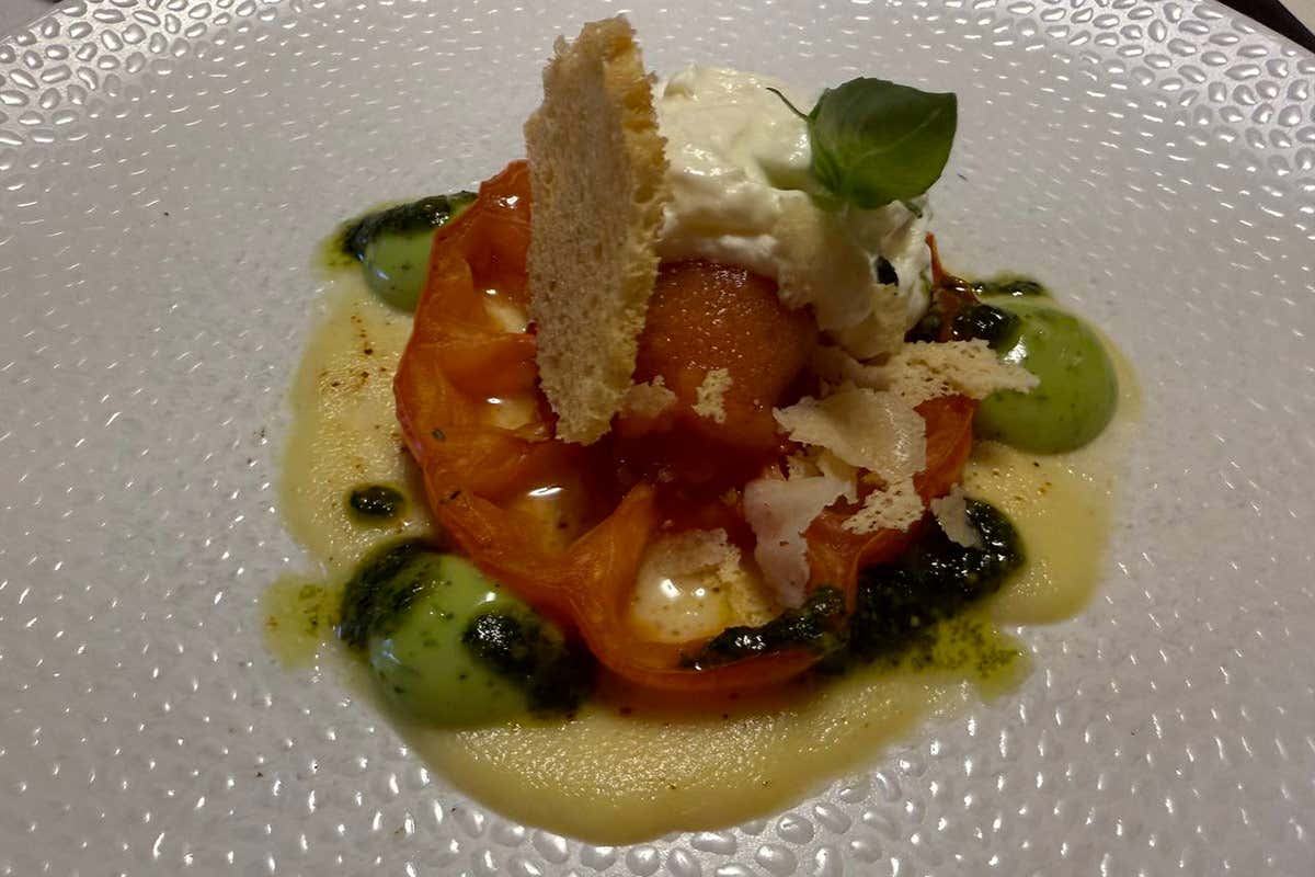 Due tipi di pomodori, crema al parmigiano e burrata