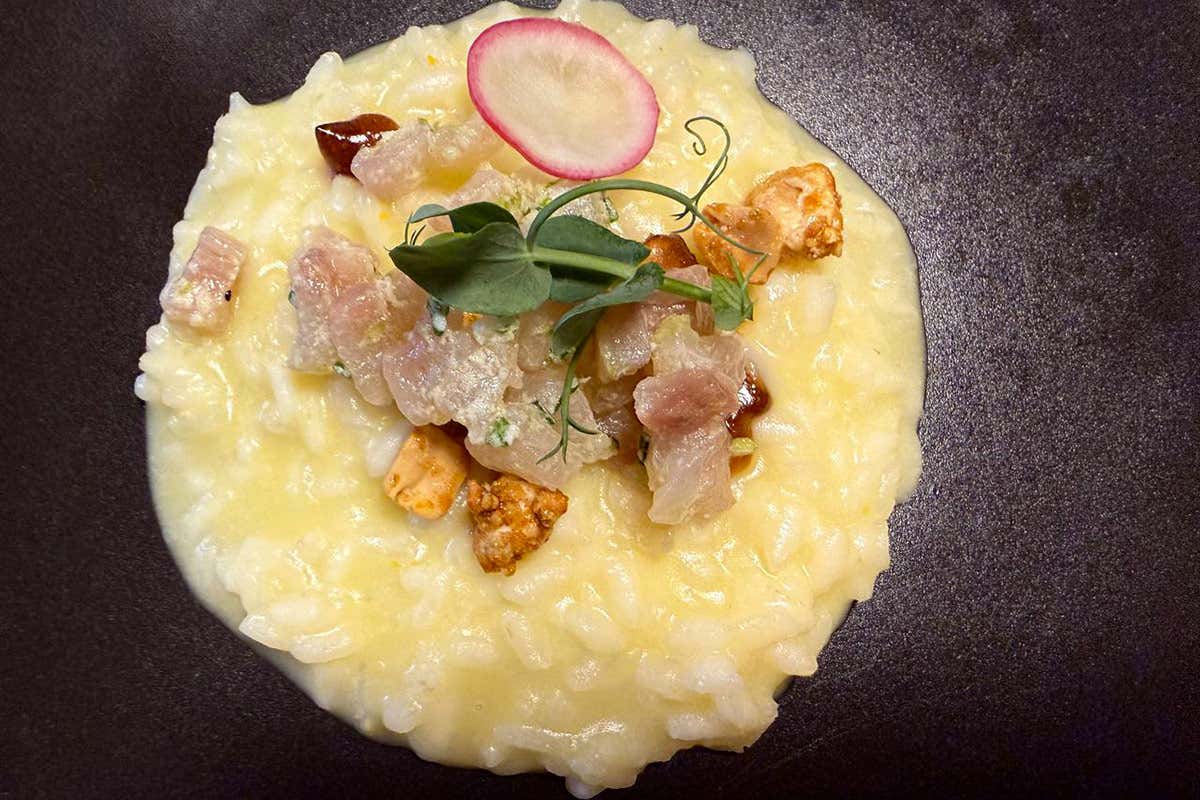 Risotto agli agrumi, salmerino, ponzu, arachidi speziate
