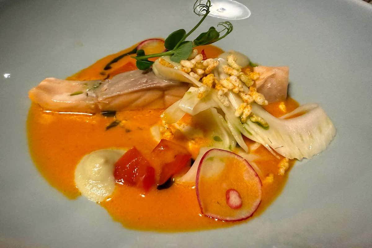 Filetto di salmone pochè, finocchio, paprica rossa