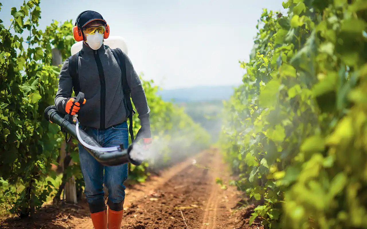 Stop ai diserbanti? Ecco la proposta del Consorzio di tutela del Roero Docg Le colline del Roero verso l'abolizione dei diserbanti chimici