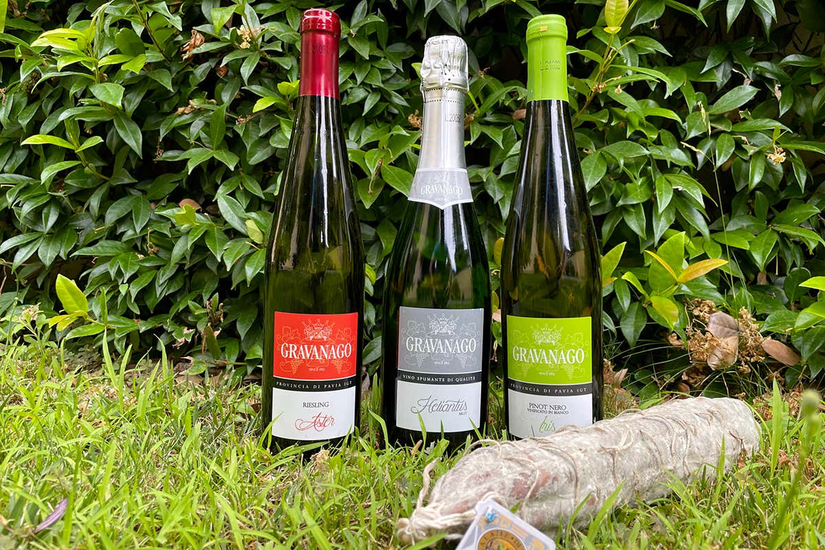 Le degustazioni Le eccellenze dell'Oltrepò al distributore self-service Le degustazioni Le eccellenze dell'Oltrepò al distributore self-service