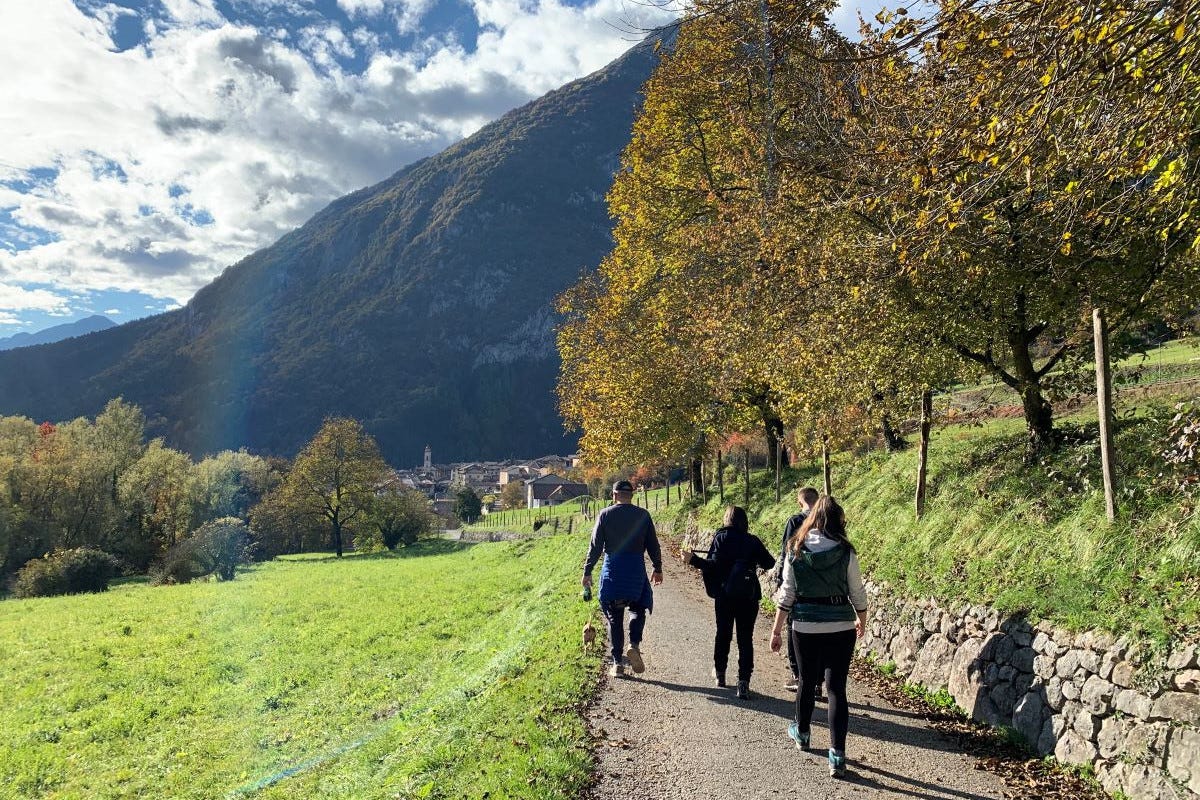 Trentino, in autunno torna DiVin Ottobre