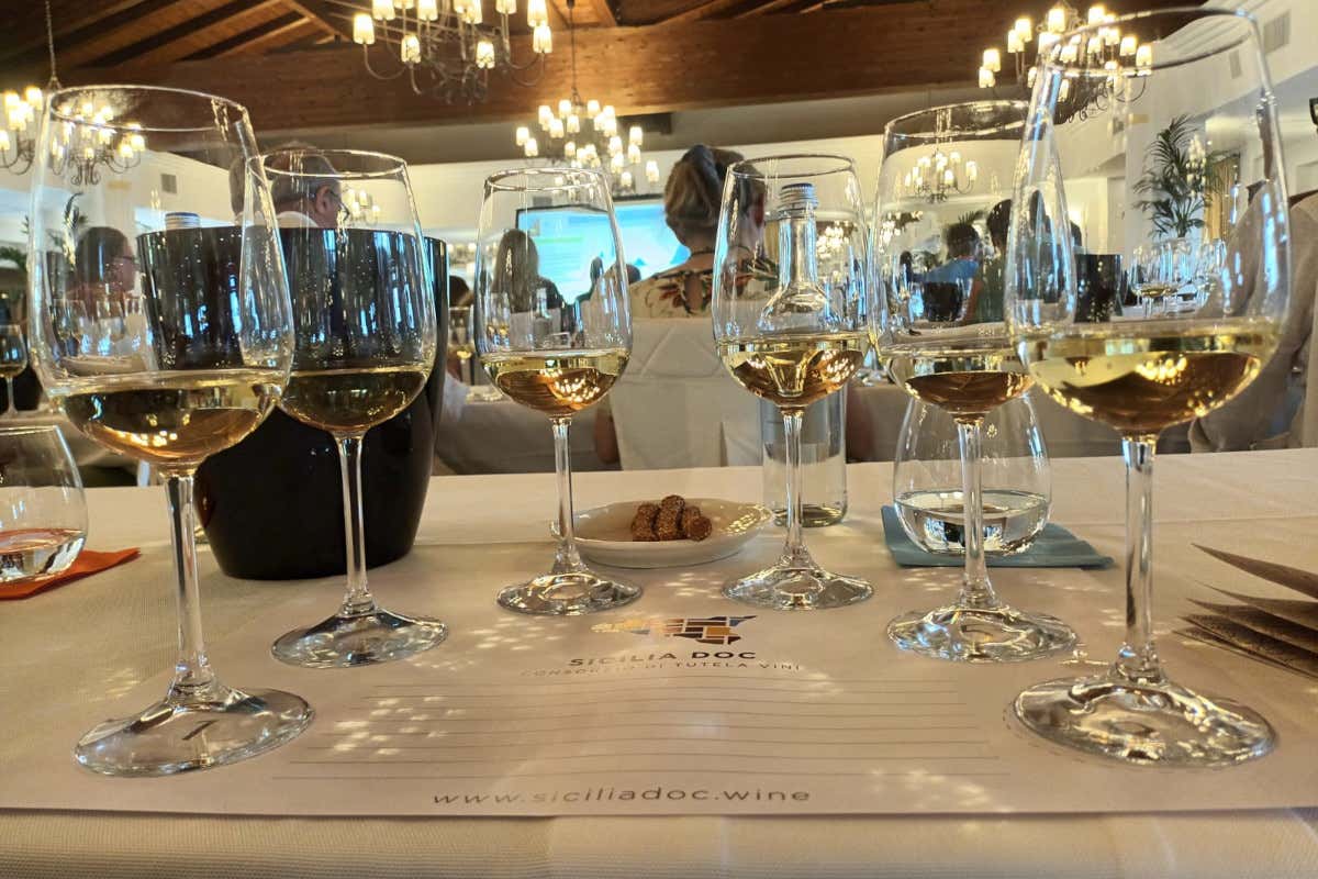 Discovery Grillo”: con il Consorzio Vini Doc Sicilia focus su un’uva identitaria