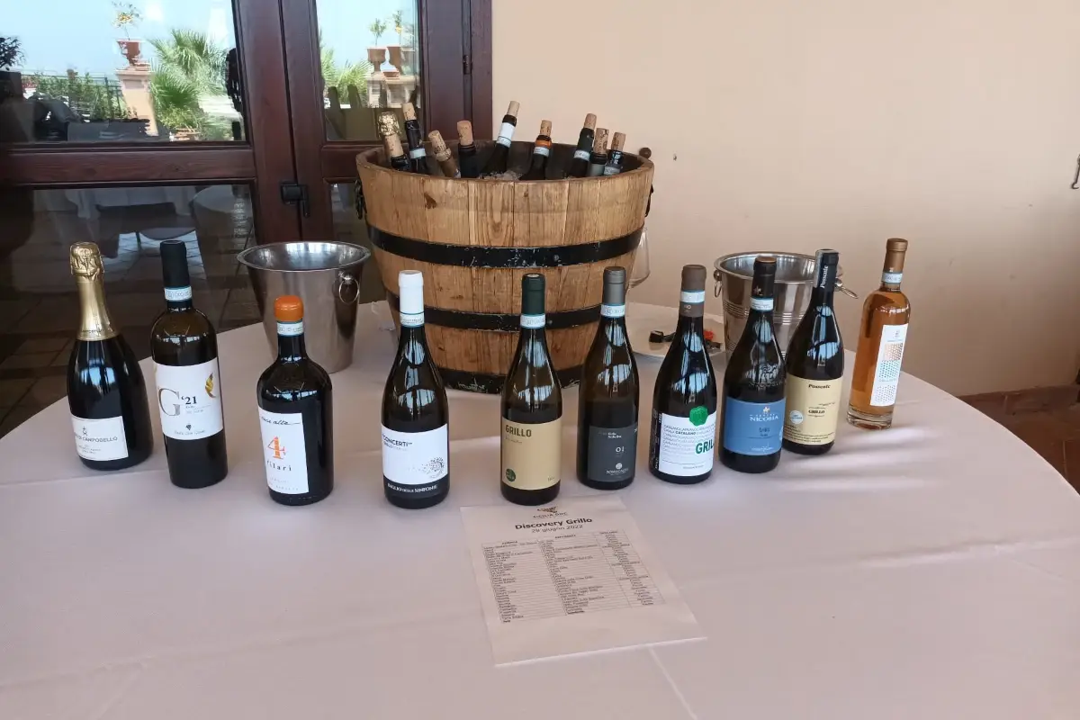 Discovery Grillo&rdquo;: con il Consorzio Vini Doc Sicilia focus su un&rsquo;uva identitaria