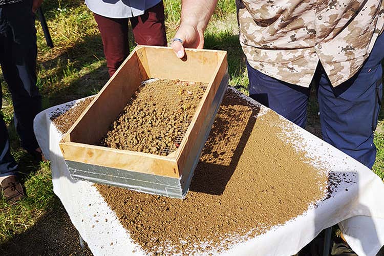 I progetti sono partiti da circa un anno nelle province di Padova e Verona (Pi&ugrave; biodiversit&agrave; in vigna Due progetti del Merlara Doc)