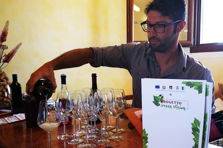 I progetti promossi dal Consorzio sono due, Green Vision e Risorsa (Pi&ugrave; biodiversit&agrave; in vigna Due progetti del Merlara Doc)