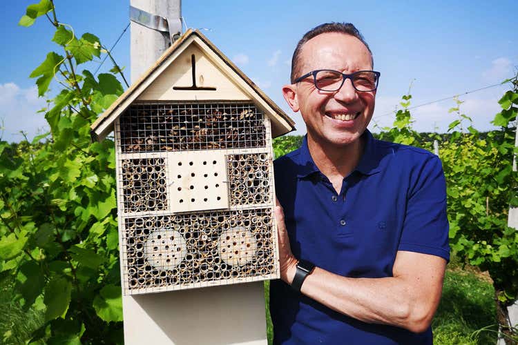 Aldo Lorenzoni, presidente del Consorzio di tutela Merlara Doc (Pi&ugrave; biodiversit&agrave; in vigna Due progetti del Merlara Doc)