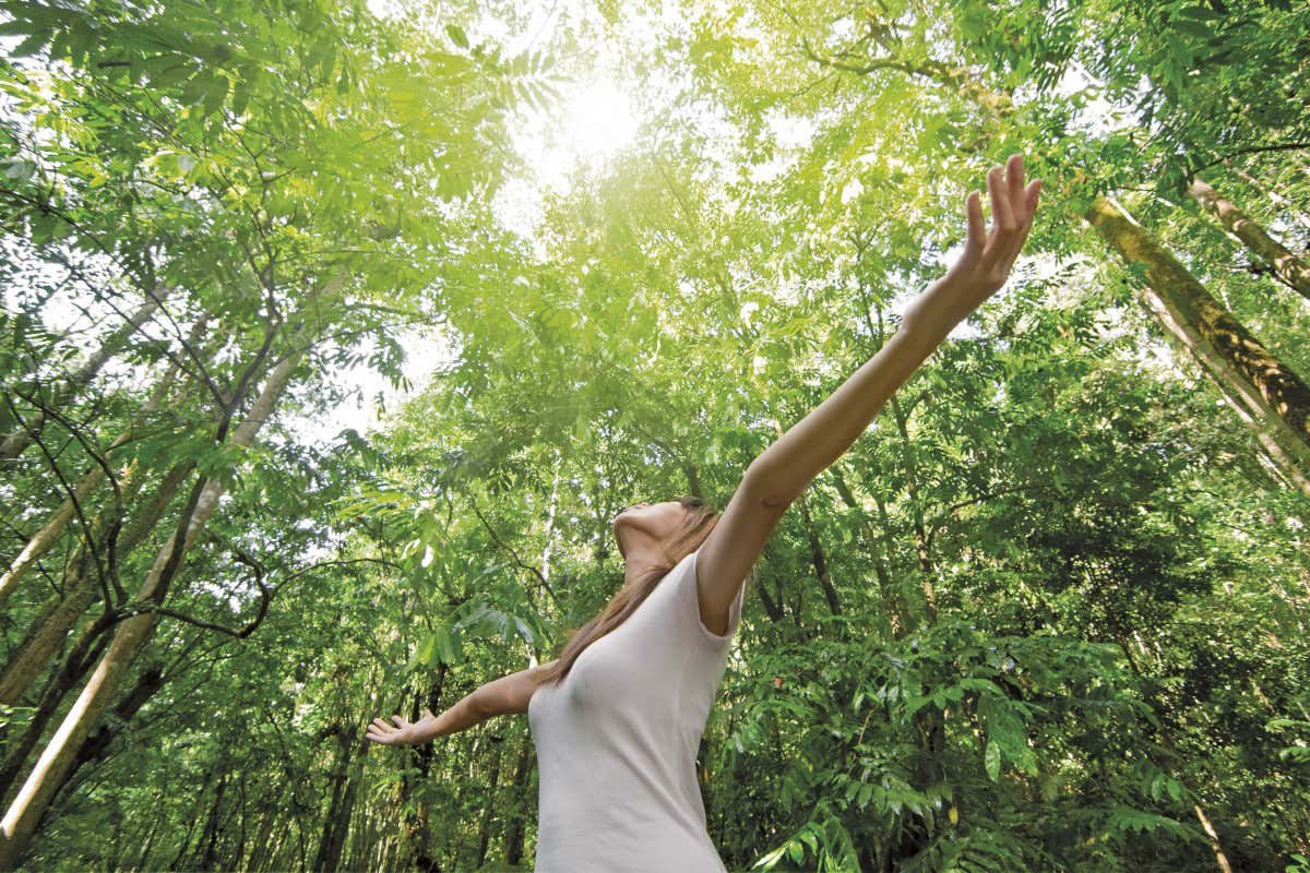 £$Dolomiti Wellness Festival$£, a Pinzolo il personal trainer è la natura