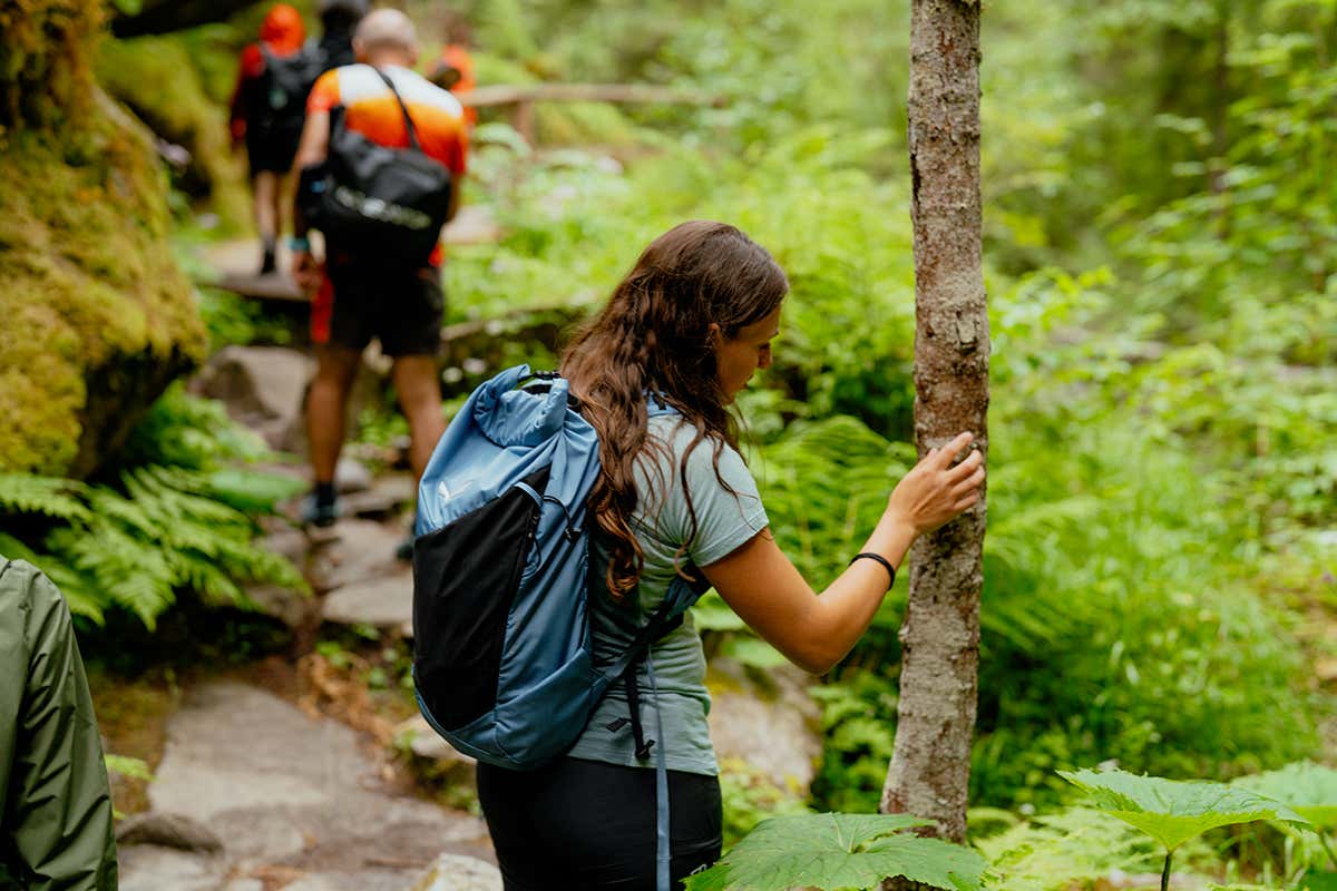 Dolomiti Wellness Festival: 7 giorni per rigenerare corpo e mente in Val di Fiemme Dolomiti Wellness Festival: 7 giorni per rigenerare corpo e mente in Val di Fiemme