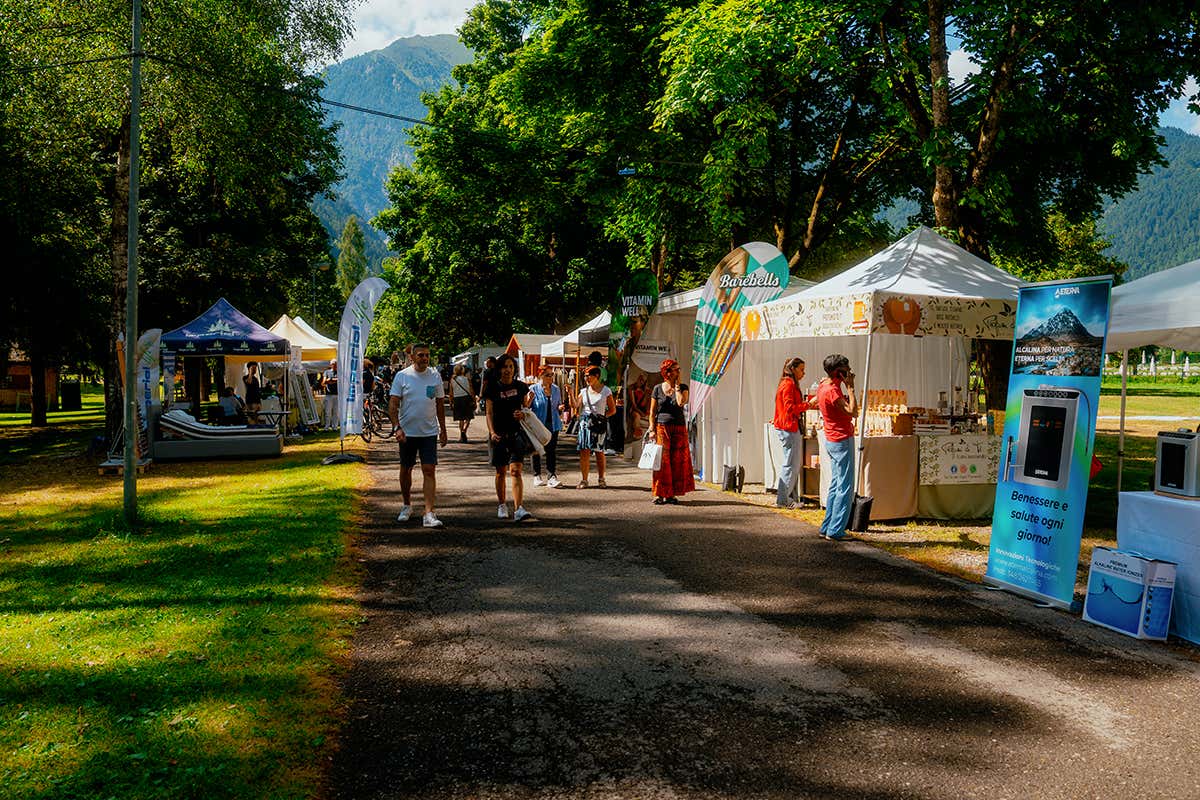 Dolomiti Wellness Festival: 7 giorni per rigenerare corpo e mente in Val di Fiemme Dolomiti Wellness Festival: 7 giorni per rigenerare corpo e mente in Val di Fiemme
