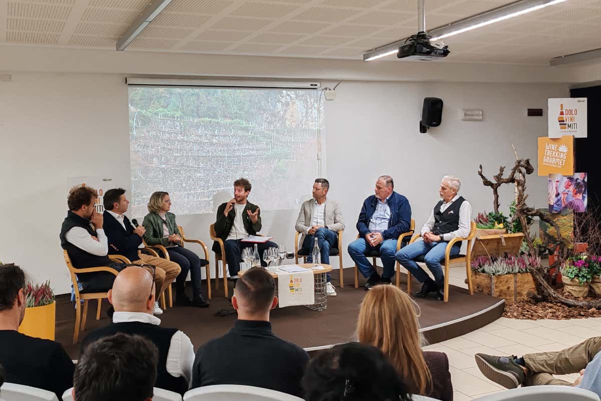 DoloViniMiti e la verticalità del vino: paesaggi, tradizioni e terroir alpini