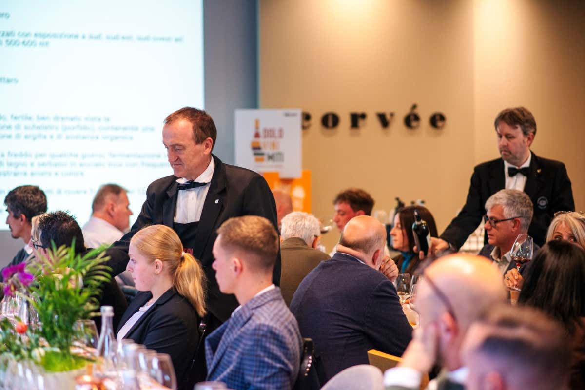 DoloViniMiti e la verticalità del vino: paesaggi, tradizioni e terroir alpini