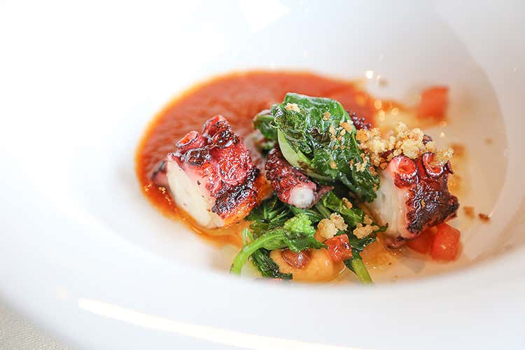 (Domenica al Quarto Piano di Rimini Silver Succi fa tornare bambini)