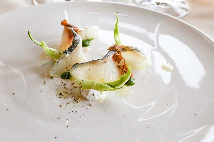 (Domenica al Quarto Piano di Rimini Silver Succi fa tornare bambini)