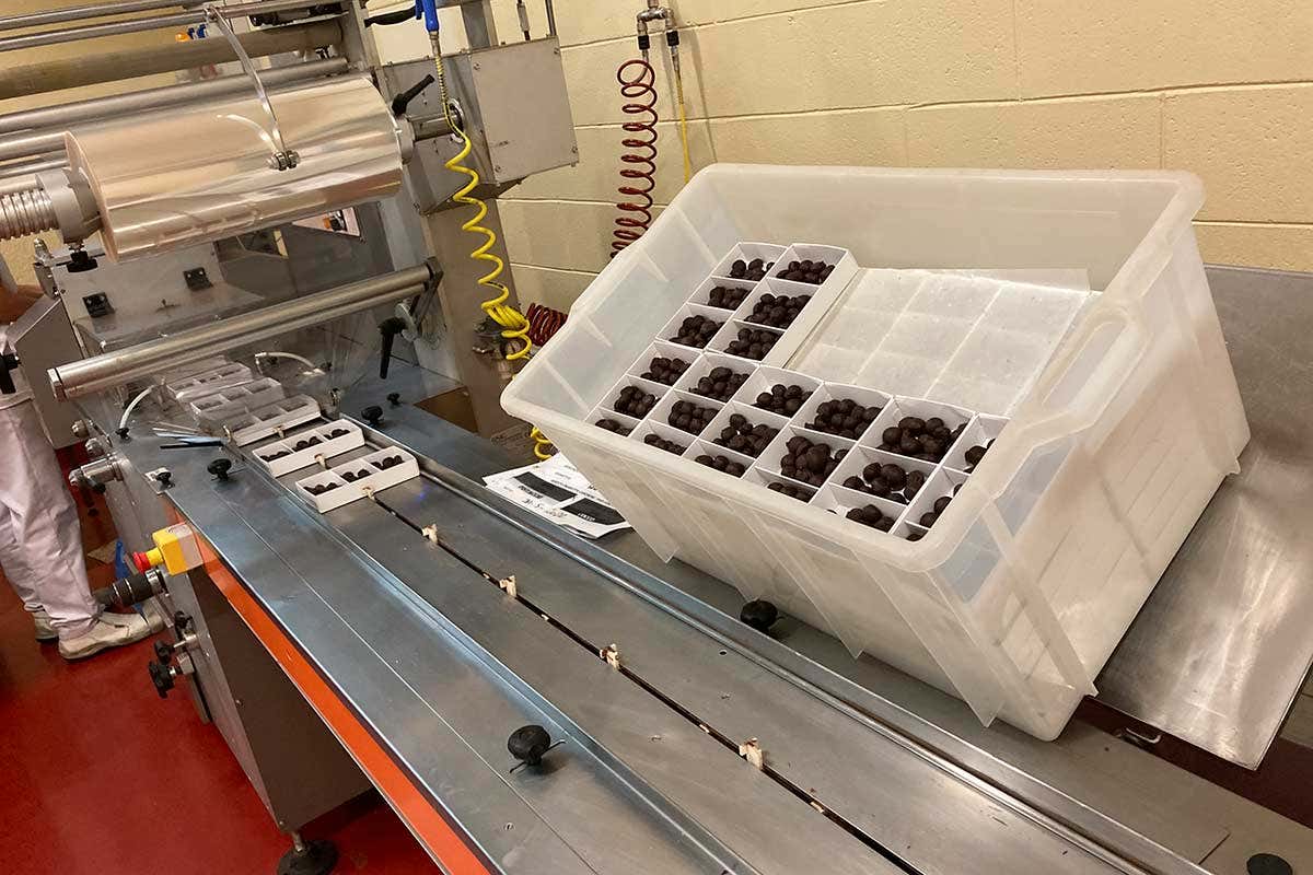 Viaggio a None, dove nasce il cioccolato Domori