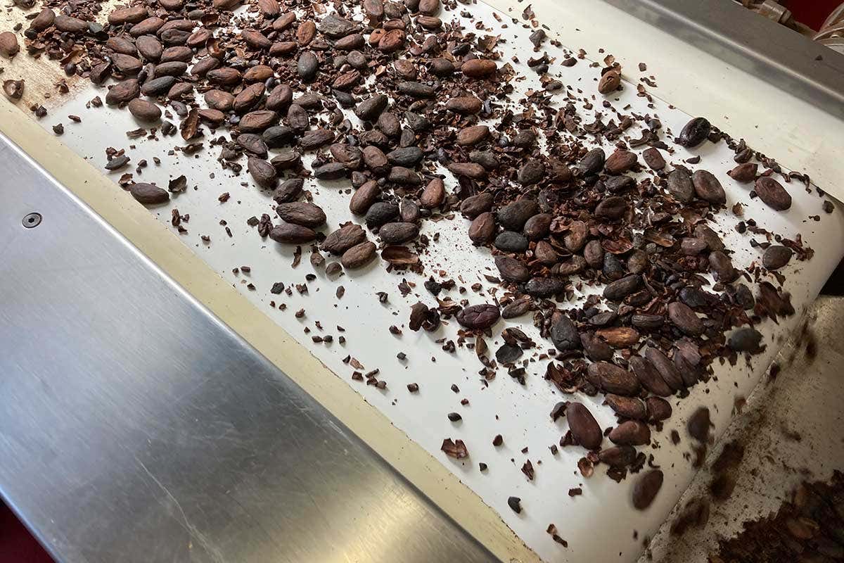 Diverse fasi di lavorazione del cacao Viaggio a None, dove nasce il cioccolato Domori
