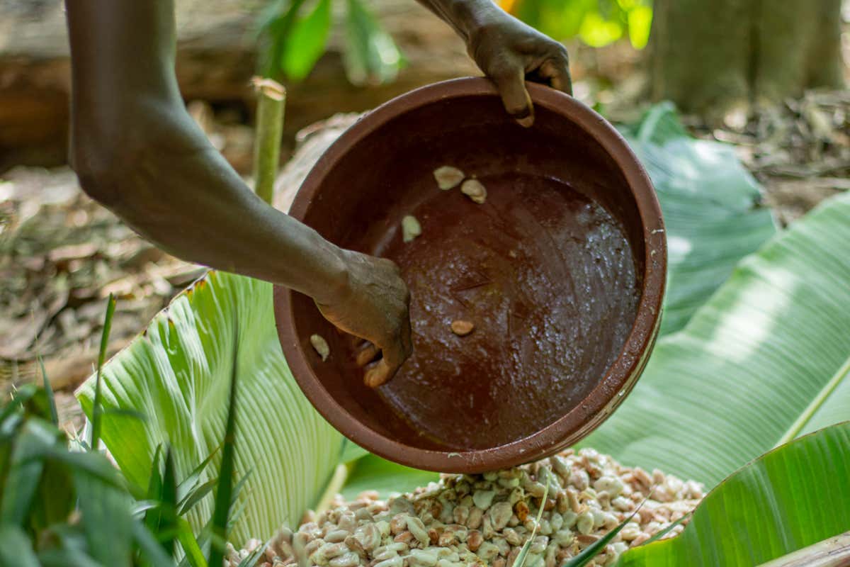 Domori Professional: la linea di cioccolato pensata per chef e pasticceri Domori Professional: la linea di cioccolato pensata per chef e pasticceri