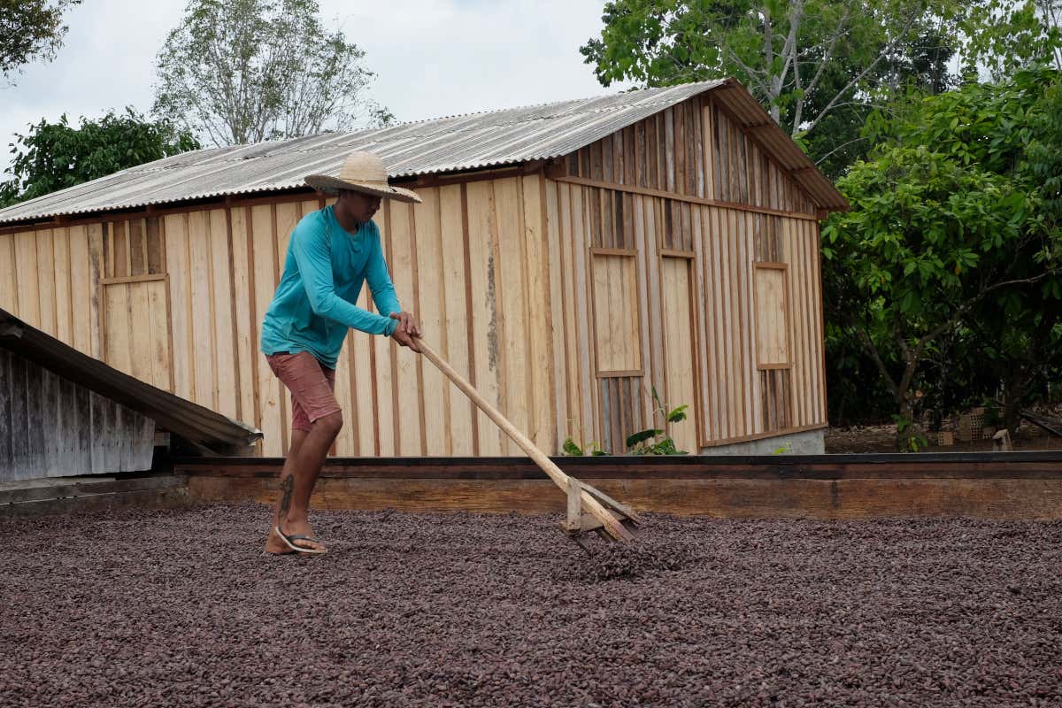 Domori Professional: la linea di cioccolato pensata per chef e pasticceri Domori Professional: la linea di cioccolato pensata per chef e pasticceri